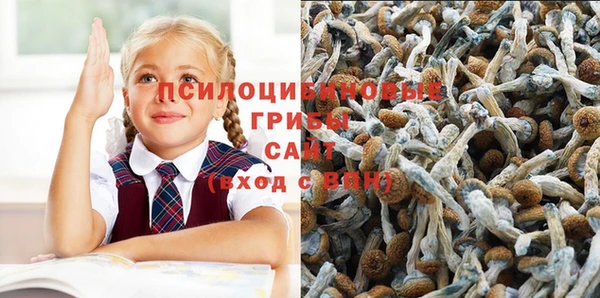 марки lsd Алексеевка
