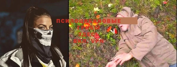 ECSTASY Алексин