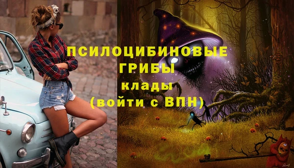 марки lsd Алексеевка